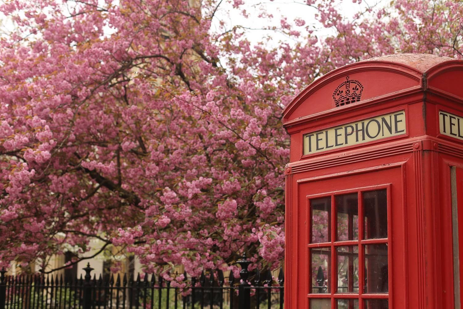 Cosy Flat In * Londra